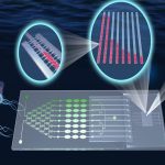 Antimicrobial Susceptibility Testing Market