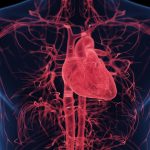 Hypertrophic Cardiomyopathy (Hcm) Treatment Market